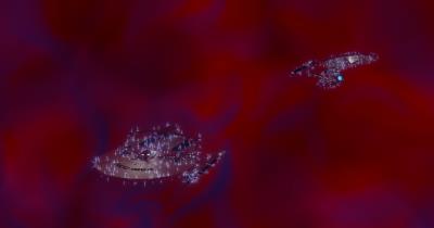 Click to see a Large sized image