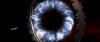 Click to see a Medium sized image